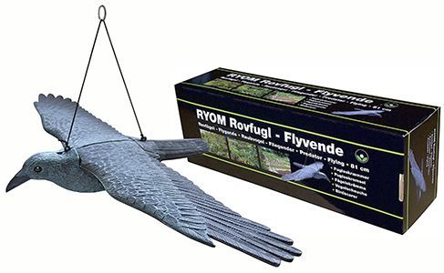 Skræmmer Flyvende rovfugl - Billede 2