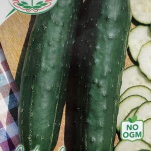 Agurk, salat - Vert long Maraicher - Italia
