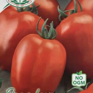 Tomat - Petomech - Italia