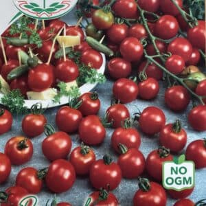 Cherrytomat - Red Cherry - Italia