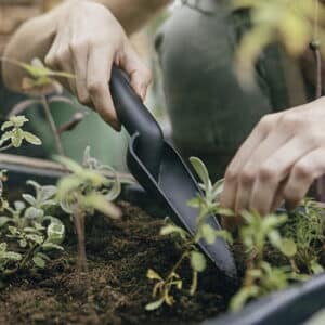 Fiskars Solid™ smal planteske