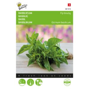 Basilikum - Fijnbladig - Ocimum basilicum