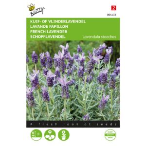 Fransk Lavendel - Lavendula stoechas