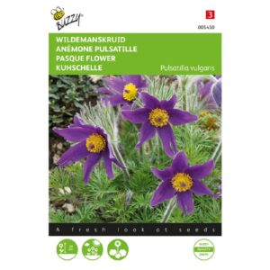Kubjælde - Pulsatilla Vulgaris