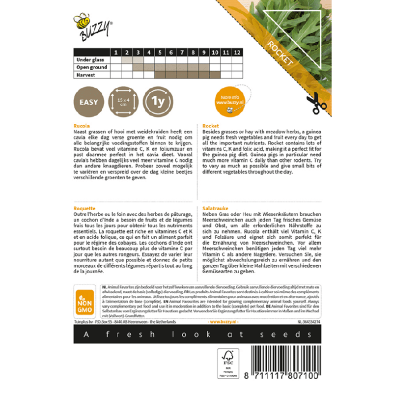 Rucola - Eruca sativa - Billede 2