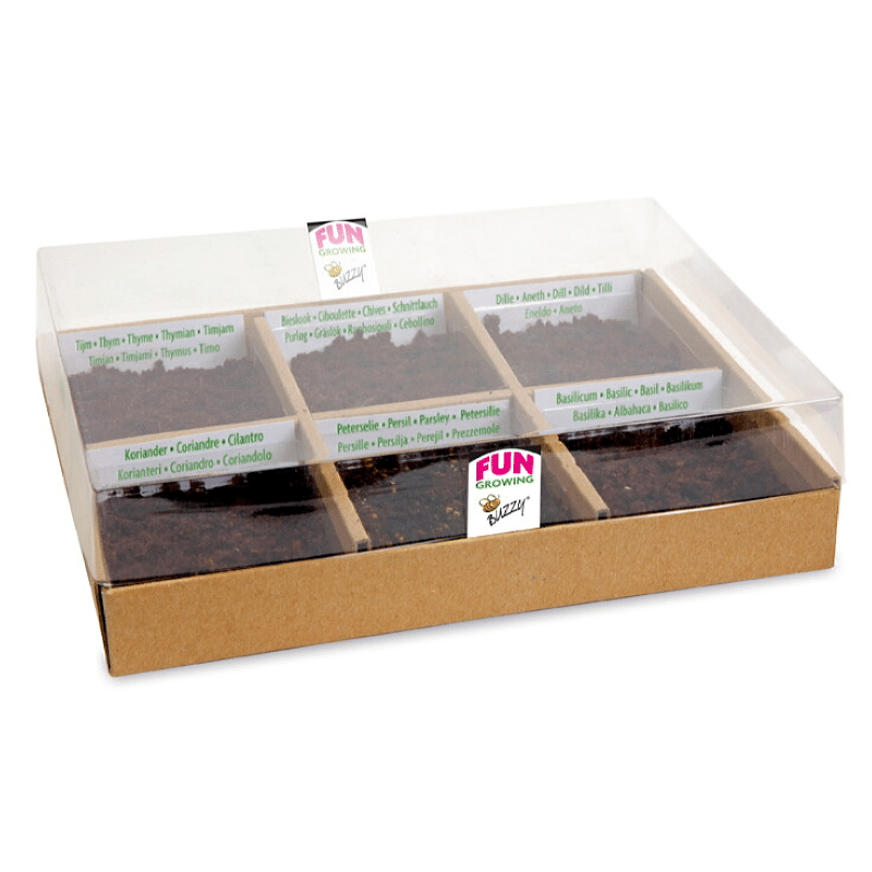 Starter Kit - Tea time - Gro din egen te - Billede 2