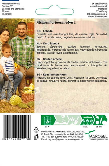 Havesyre - Garden Orache – Baby Leaf - PG8 - Billede 2