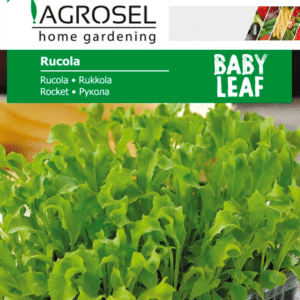 Rucola - Rocket - mikro grønt - PG8