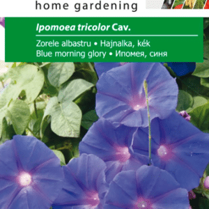 Tragtsnerle - Ipomoea Tricolor cav. - Blue Morning Glory - PG2 - NYHED 2025