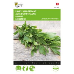 Løvstikke - Levisticum officinalis