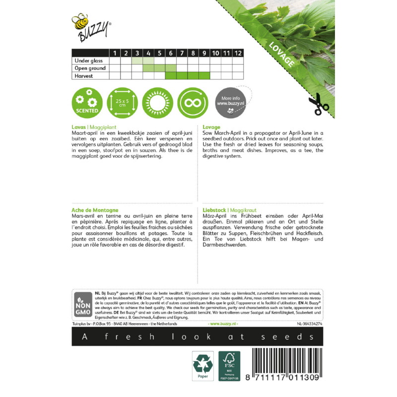Løvstikke - Levisticum officinalis - Billede 2