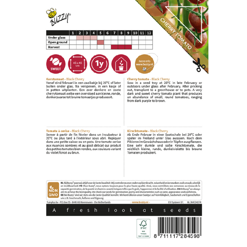 Cherry Tomat - Black Cherry - Solanum lycopersicum - Billede 2