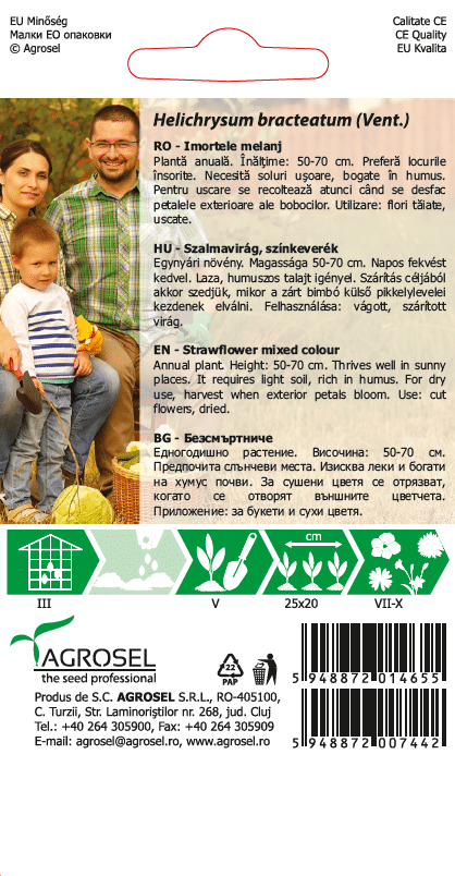 Evighedsblomst - Helichrysum bracteatum - PG2 - Billede 2