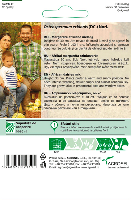 Spansk Marguerit - Osteospermum ecklonis (DC.) Norl. - PG3 - Billede 2