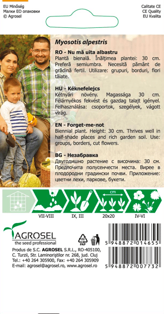 Forglemmigej - Myosotis alpestris - Billede 2