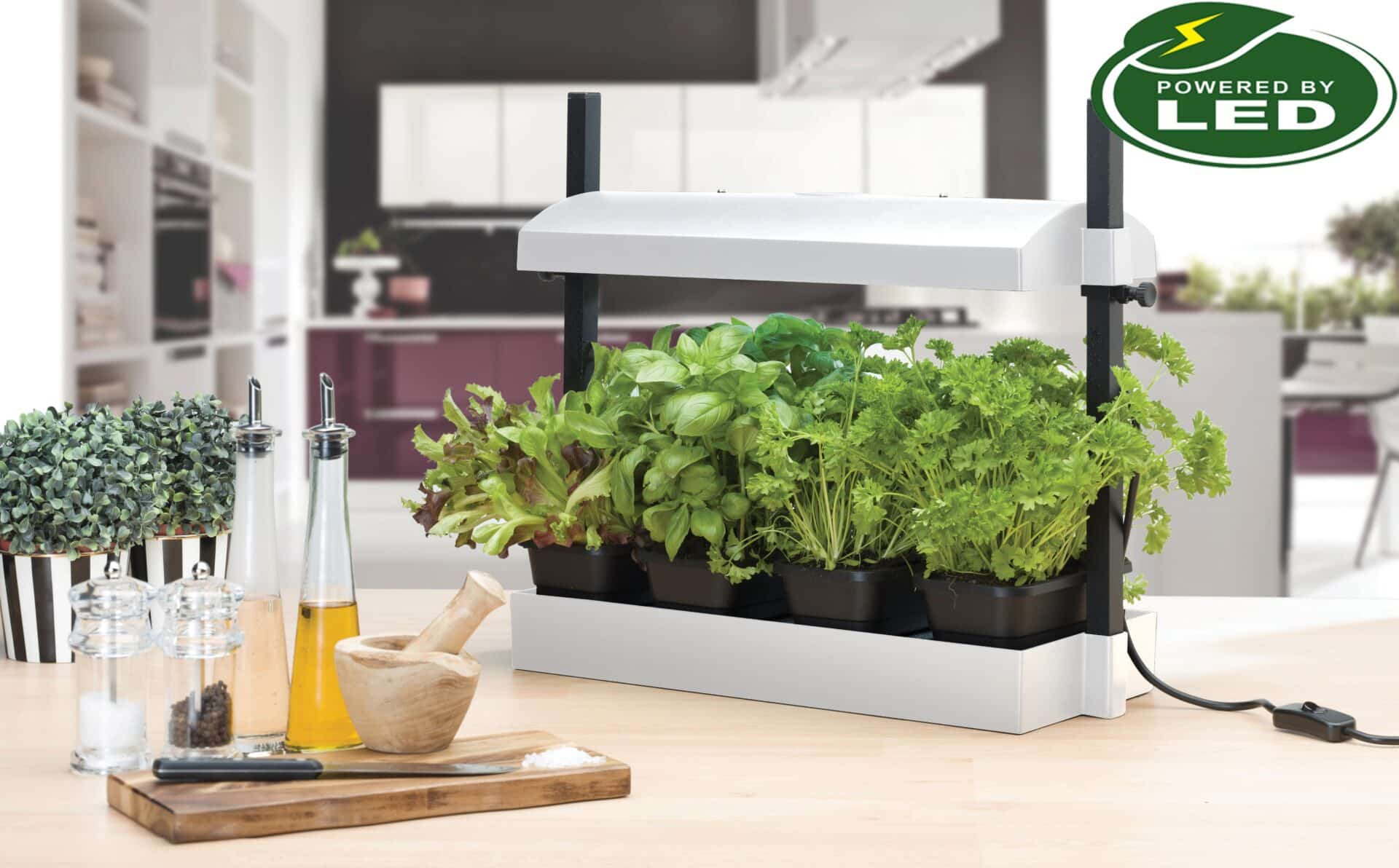 Micro Growlight Garden Hvid - LED - Billede 9