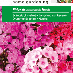 Sommerfloks Lyserød - Phlox drummondii hook - PG2