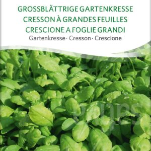 HAVEKARSE - LAND CRESS - ØKO