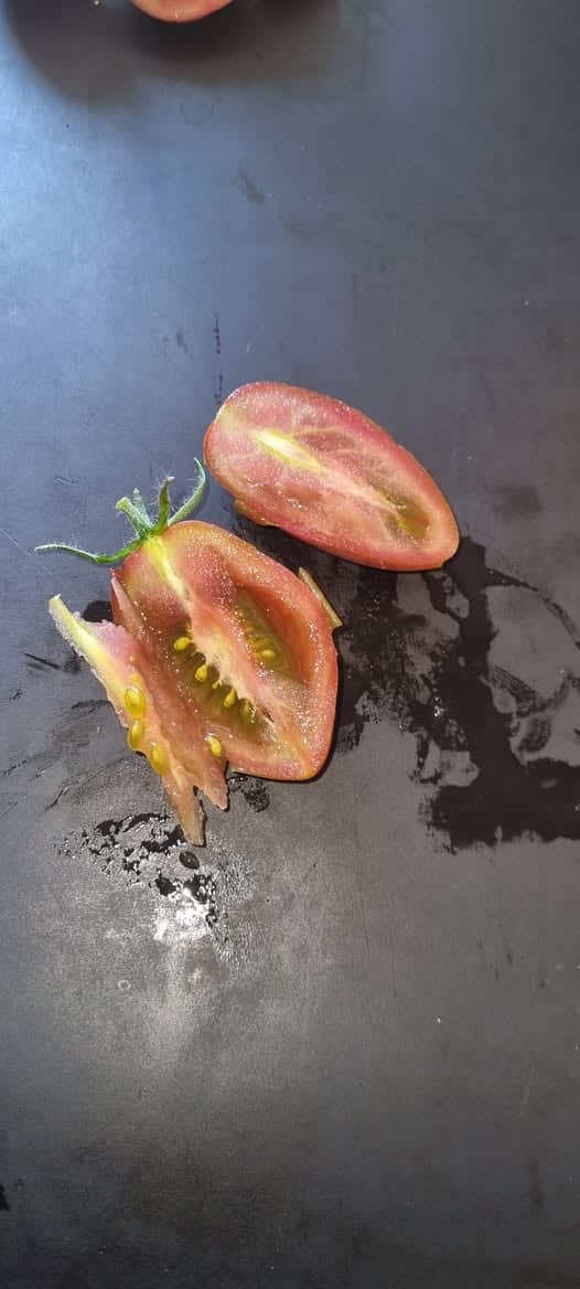 Tomat - Cherry Ducre - Billede 2