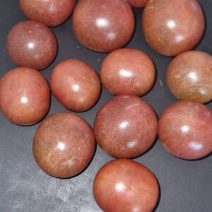 Cherry Tomat - Hungry Like the Wolf (Kopier)